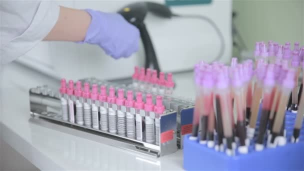 Nurse scan test tube with analysis and put in a support under laboratory flasks. — Stock Video