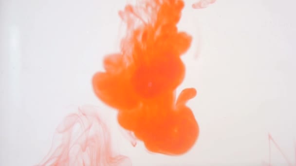 Colourfull background. Red ink dropped in water. Slow motion. — Stock Video