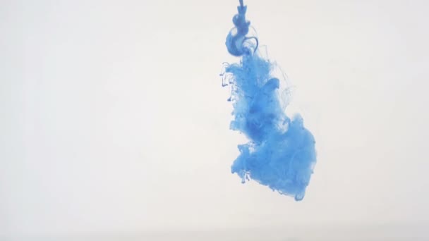 Fundo colorido. A tinta azul caiu na água. Movimento lento . — Vídeo de Stock