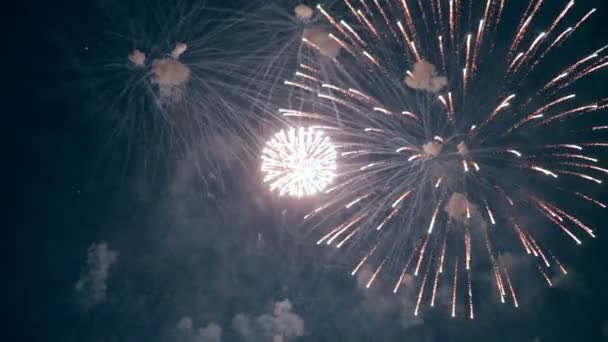 Fogos de artifício coloridos múltiplos . — Vídeo de Stock