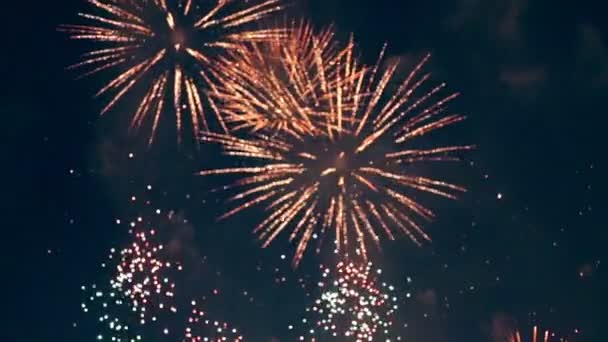 Plusieurs feux d'artifice colorés . — Video