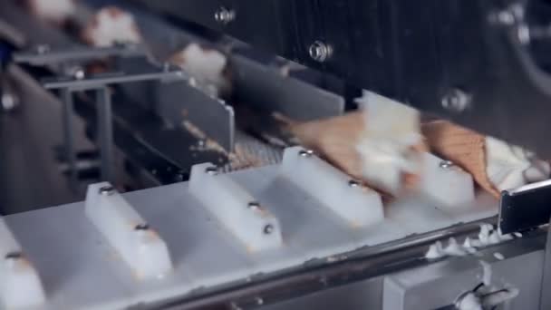 Automatic line for the production of ice cream. Conveyor. — Stock Video