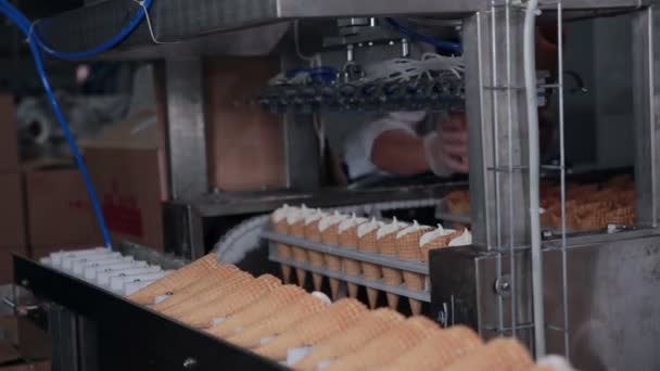 Línea automática para la producción de helados. Transportador . — Vídeo de stock