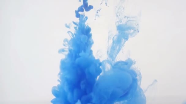 Colourfull background abstraction. Blue Ink in water. — Stock Video