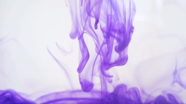 Μοβ μελάνη στο νερό. Πολύχρωμο φόντο. — Αρχείο Βίντεο