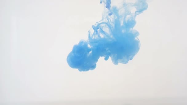 Colourfull background abstraction. Blue Ink in water. — Stock Video
