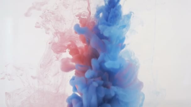 Colourfull background abstraction. Red and blue Ink in water. — Stock Video