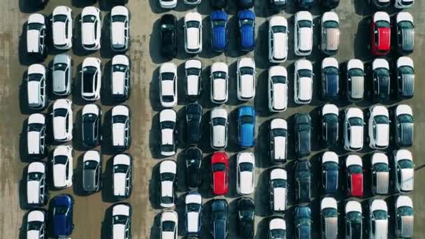 Parkeringsplats med nyproducerade bilar filmade ovanifrån — Stockvideo