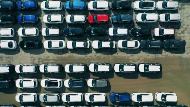 Fabrika bölgesinde sıra sıra park edilmiş yeni arabaların üst görüntüsü — Stok video