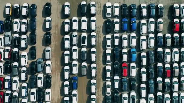 Yeni üretilen arabalar en üst sıraya park edilmiş. — Stok video