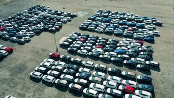 Widok z góry parkingu z nowo wyprodukowanymi samochodami — Wideo stockowe