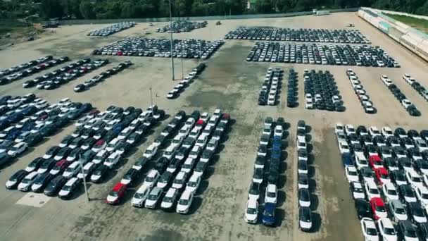 Nieuw geproduceerde auto 's geparkeerd in het buitengebied van de fabriek — Stockvideo