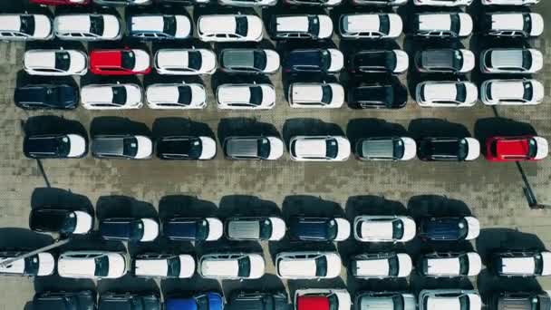 Miejsce parkingowe fabryczne z mnóstwem nowych samochodów w widoku z góry — Wideo stockowe