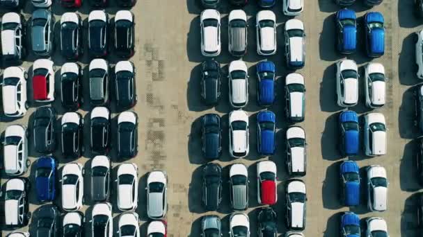 Dışarıya park edilmiş yeni araba kuyrukları yukarıdan görünüyor. — Stok video