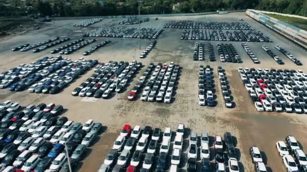 Yeni üretilen arabalarla dolu geniş bir park yeri. — Stok video
