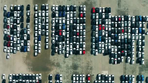 Vários carros recém-fabricados na área de estacionamento em uma vista superior. — Vídeo de Stock