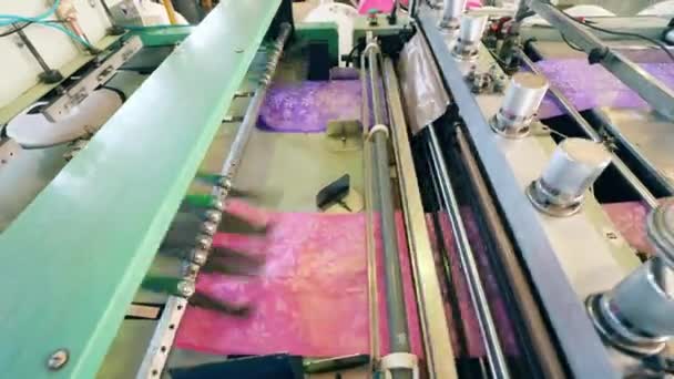 Plastikowa maszyna do cięcia worków w fabryce produkcji polietylenu — Wideo stockowe