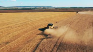 Tarlada tarım makineleri tarafından yapılan tahıl hasadı