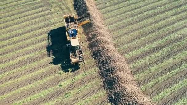 Комбайн вивантажує коренеплоди в купи з видом зверху — стокове відео