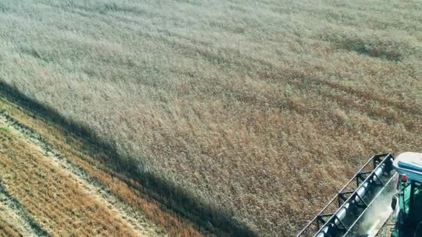 La moissonneuse roule le long du champ et récolte des céréales