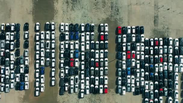 Yeni üretilen arabaların olduğu otopark yukarıdan çekiliyor. — Stok video