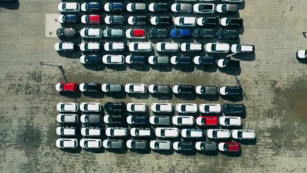 Un montón de coches nuevos ubicados en el estacionamiento de la fábrica filmados desde arriba — Vídeo de stock