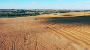 Mısır gevreğinin hasat edildiği büyük bir tarlanın üst görüntüsü.