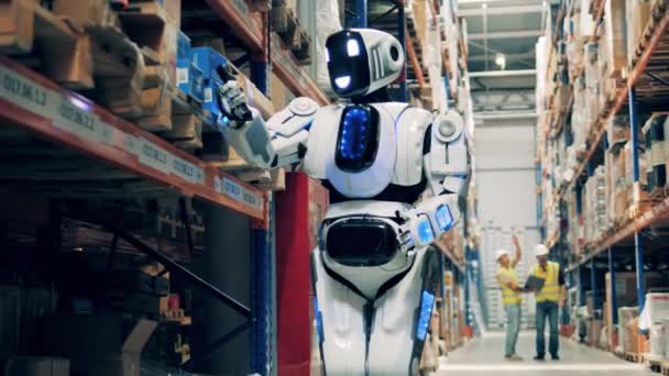 El inventario de productos almacenados está siendo realizado por un cyborg — Vídeo de stock