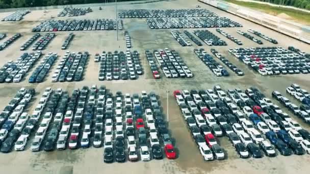 Luchtfoto van nieuwe auto 's op de parkeerplaats van de autofabriek. Auto, auto dealer parkeerplaats. — Stockvideo