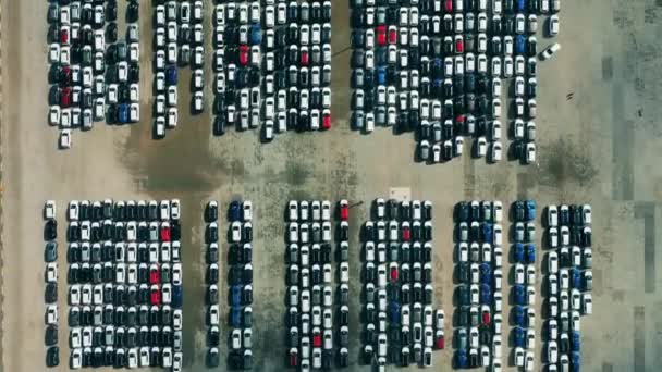Drone che sorvola le auto parcheggiate in un parcheggio concessionario auto. — Video Stock