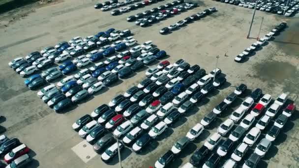 Carros novos num parque de estacionamento. Tiro aéreo. — Vídeo de Stock