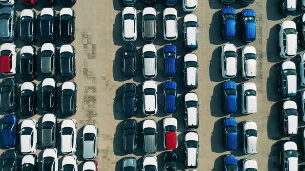 Primer plano de los techos del coche en la fábrica de coches estacionamiento al aire libre. — Vídeo de stock