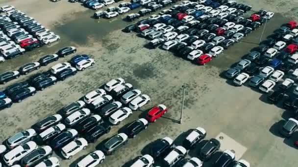 Auto dealer parkeerplaats met veel gloednieuwe auto 's. — Stockvideo