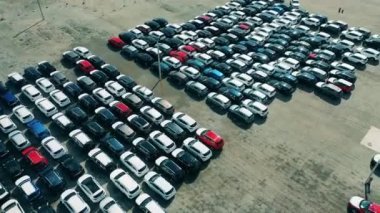 Araba fabrikasının otoparkında. Yeni arabalar satışa hazır..