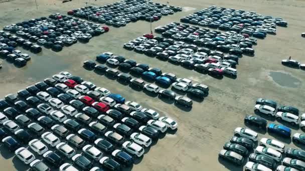 Coches nuevos en el estacionamiento de la fábrica de automóviles — Vídeo de stock