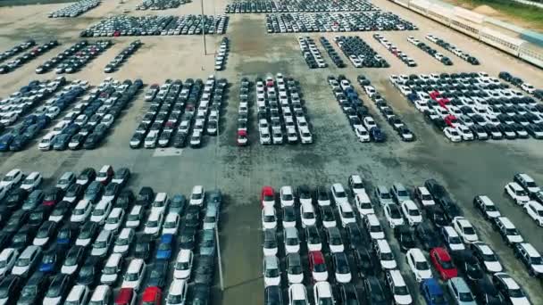 Neuwagen auf Autohaus-Parkplatz. — Stockvideo