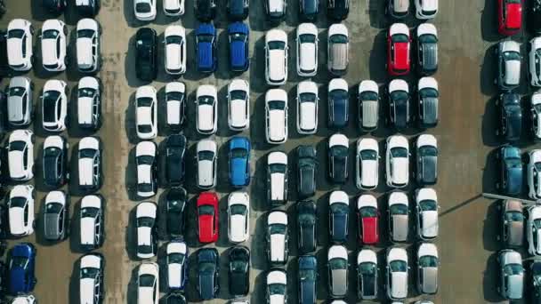 Tiro aéreo de carros novos em um estacionamento do negociante de carro. — Vídeo de Stock