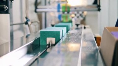 Süngerler taşıma bandına konuyor. Sanayi fabrikasında paketleme işlemi.