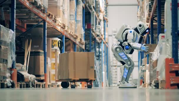 Robot d'entrepôt ramasse les boîtes et les place sur un chariot — Video