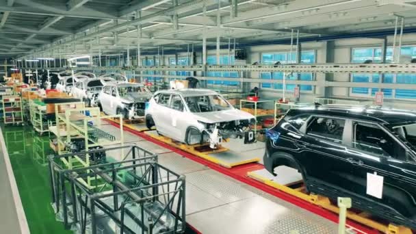 Automobieltransportband. Zwarte en witte carrosserieën op de assemblagelijn in de autofabriek — Stockvideo