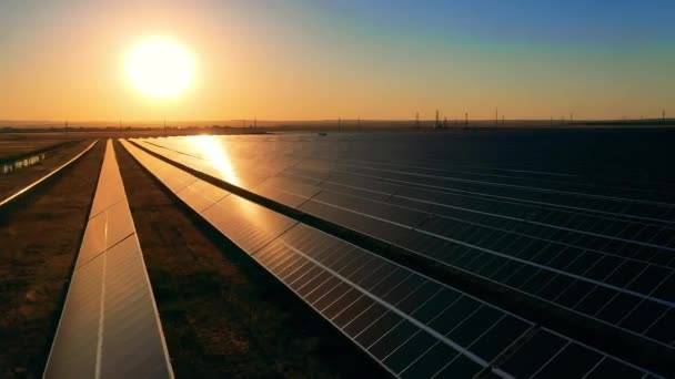 Luftaufnahme vieler Reihen von Sonnenkollektoren in einem Solarpark bei Sonnenuntergang — Stockvideo