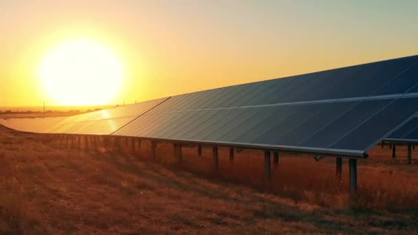 日没の太陽電池パネルの多数の行。ドローン撮影 — ストック動画