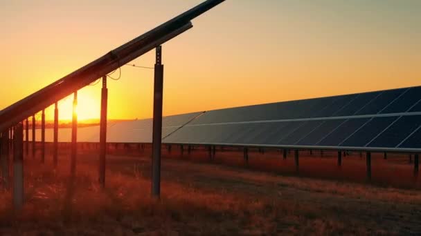 日没時に大規模な太陽光発電所で多数の近代的な太陽電池パネル。ドローン撮影 — ストック動画