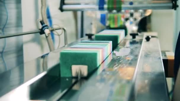 Trabalhador da fábrica que carrega esponjas de esfregaço em uma correia transportadora em uma fábrica — Vídeo de Stock