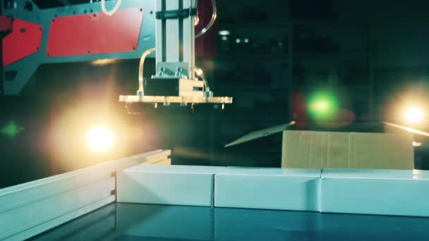 Pequeñas cajas de cartón están siendo reubicadas por una herramienta robótica — Vídeos de Stock