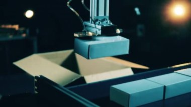 Robot kol aynı paketleri bir kutuya yerleştiriyor.