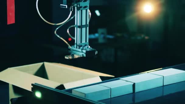 Πανομοιότυπα κουτιά συσκευάζονται μαζί από ένα ρομποτικό εργαλείο — Αρχείο Βίντεο