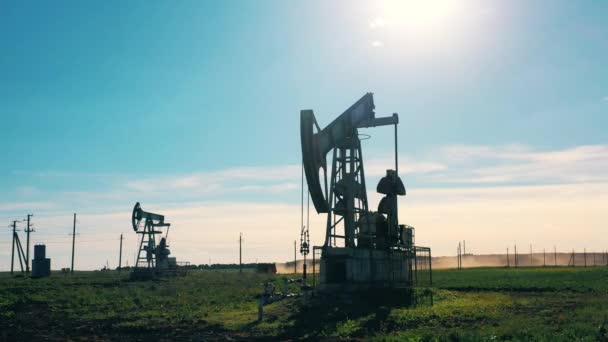 Abóboras de óleo funcionais em um grande campo de petróleo — Vídeo de Stock