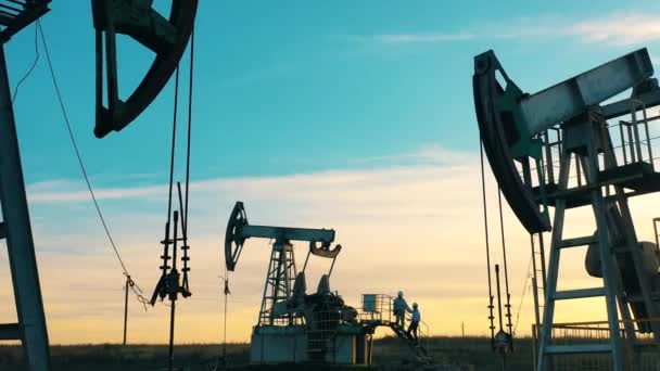 Множественные работающие нефтяные насосы на нефтяном месторождении на ярком закате — стоковое видео