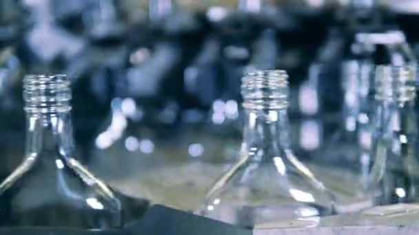 Las botellas de vidrio se transportan a lo largo del transportador — Vídeo de stock